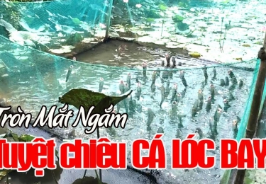 MEKONG NÉT ĐẸP TIỀM ẪN - TUYỆT TÌNH CỐC MIỀN TÂY- DÂN DÃ CỒN SƠN - NGOẠN MỤC CÁ LÓC BAY - NÚI CẤM