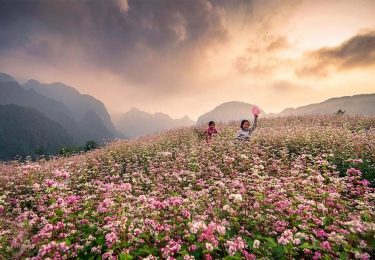 ĐÀ NĂNG - PHONG NHA - MỘ ĐẠI TƯỚNG - LÀNG SEN - TRÀNG AN - CÂY ĐA TÂN TRÀO - CỘT CỜ LŨNG CÚ - MÃ PÌ 