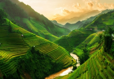 TOUR HÀ NỘI - NINH BÌNH - HẠ LONG - SA PA MÙA HOA MẬN TRẮNG