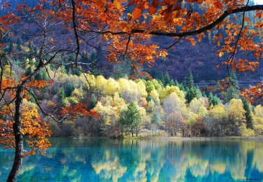 TRÙNG KHÁNH -  THÀNH ĐÔ - CỬU TRẠI CÂU  - NGA MI -  LẠC SƠN ĐẠI PHẬT