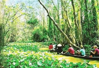 XUÔI VỀ MIỀN TÂY : CAO LÃNH - XẺO QUYT - SADEC - CHỢ NỔI -  DÂN DÃ CỒN SƠN CÁ LÓC BAY